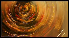 photo "The Christmas Tree"