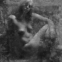 photo "Nude portrait"