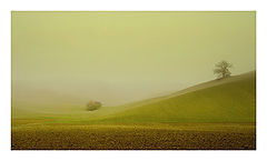 photo "NB"