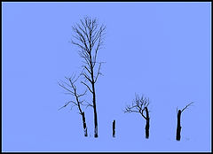 фото "Одноклассники."