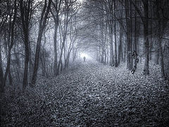 photo "Leaving in fog"