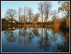 фото "The Quiet Lake"