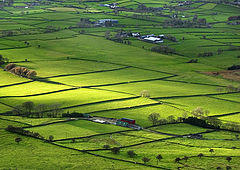 фото "Irish fields"