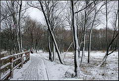 фото "Снежная графика"