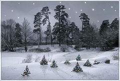 photo "Happy New Year!"