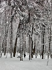 фото "30 декабря"