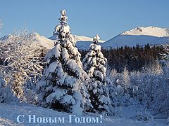 photo "С Новым Годом!"