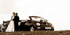 photo "***"
