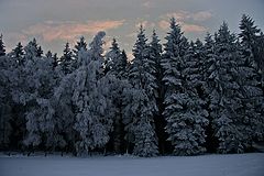 photo "***"