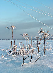 фото "+ провода"