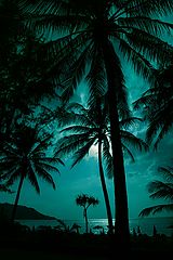 photo "***"