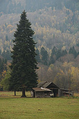 photo "***"