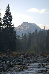 photo "***"