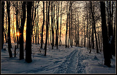 photo "***"
