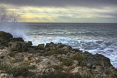 фото "The wave (2)"
