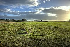 фото "The field"