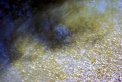 photo "river mirage"