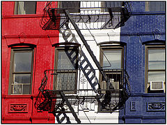 photo "Tricolor"
