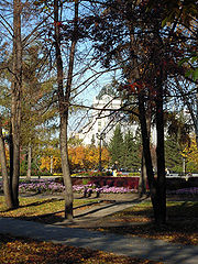 photo "sunny days"