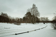 photo "***"