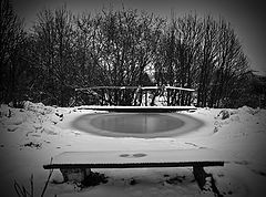 фото "Неведимка"