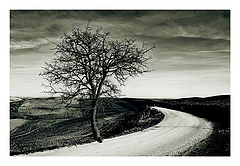 photo "***"