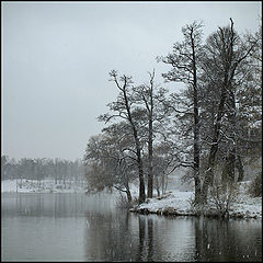фото "в Озерках первый снег"