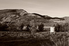 фото "California Hils"
