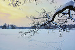 photo "triangle"