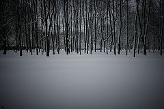 фото "зима."