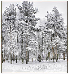 photo "***"