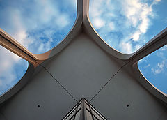 фото "..."