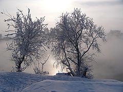 фото "Беседа у реки"