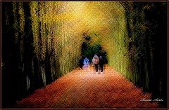 фото "strenge effect"