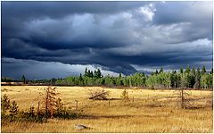 photo "Right before thunderstorm"