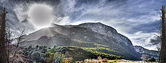 photo "Shooting in direct sunlight"