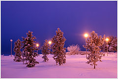 фото "Winter"