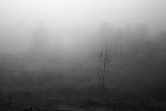 photo "***"