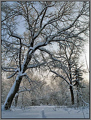 photo "***"