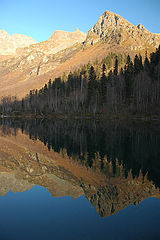 photo "***"