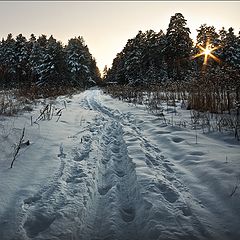 фото "Спрятать звезду.."