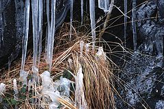 фото "more than ice"