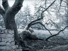 фото "Х Х Х"
