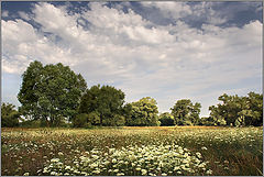 photo "***"