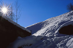 фото "house & snow"