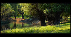 фото "Riverside idyll"