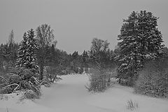 фото "Зимнее путешествие - 1"