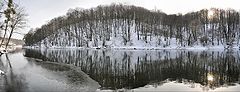 фото "Тетерев в январе"