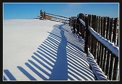 photo "***"