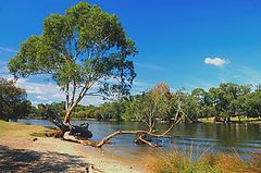 фото "Bassendean  Riverbank"
